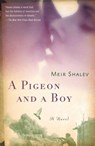 A Pigeon and a Boy - Meir Shalev - 9780805212143