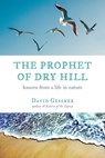 The Prophet of Dry Hill - David Gessner - 9780807005989