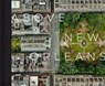 Above New Orleans - Richard Campanella - 9780807176061