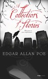 A Collection of Stories - Edgar Allan Poe - 9780812504552
