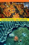 Corals of Florida and the Caribbean - George F. Warner - 9780813041650