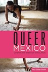 Queer Mexico - Paul Julian Smith - 9780814342749