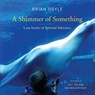 A Shimmer of Something - Brian Doyle - 9780814637142