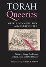 Torah Queeries - Gregg Drinkwater ; Joshua Lesser ; Judith Plaskow ; David Shneer - 9780814741092