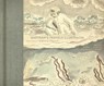 Bartram's Travels Illustrated - Dorinda G. Dallmeyer ; Harriet H. Langford - 9780820374734