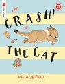 CRASH THE CAT - David McPhail - 9780823439829