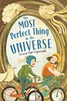 The Most Perfect Thing in the Universe - Tricia Springstubb - 9780823454969