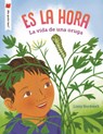 Es La Hora: La Vida de Una Oruga - Lizzy Rockwell - 9780823463794
