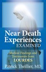 Near Death Experience Examined - Patrick Theillier - 9780824522179