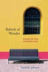 Rebirth of Wonder - JOHNSON,  David M. - 9780826339751
