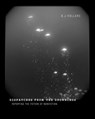 Dispatches from the Drownings - B. J. Hollars - 9780826355041