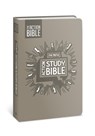 NIV Action Study Bible, Leathersoft, Gray, Full Color - Sergio Cariello - 9780830787401