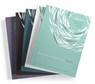The Chosen Interactive Bible Studies Bundle: Seasons 1-5 - Amanda Jenkins - 9780830793037