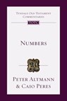 Numbers: An Introduction and Commentary - Caio Peres - 9780830842902