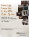 Fostering Innovation in the U.S. Court System - Brian A. Jackson ; Duren Banks ; John S. Hollywood ; Dulani Woods ; Amanda Royal ; Patrick W. Woodson ; Nicole J. Johnson - 9780833095350