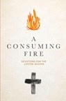 Consuming Fire - Debbie Goodwin - 9780834143746