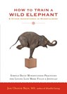 How to Train a Wild Elephant - Jan Chozen Bays - 9780834827462