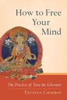 How to Free Your Mind - Thubten Chodron - 9780834828957