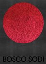 Bosco Sodi - Dakin Hart ; Juan Manuel Bonet - 9780847867875