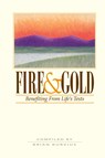 Fire and Gold - Brian Kurzius - 9780853984023