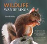 Wildlife Wanderings - David Bailey - 9780857043528