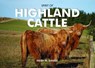 Spirit of Highland Cattle - Heidi M. Sands - 9780857100542