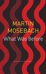 What Was Before - Martin Mosebach - 9780857427182