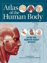 Atlas of the Human Body - Ken Ashwell - 9780857625106