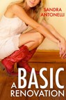 A Basic Renovation - Sandra Antonelli - 9780857990204