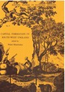 Capital Formation in South-West England - Walter Minchinton - 9780859890380