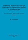 Modelling the Effects of Tillage Processes on Artefact Distributions in the Ploughzone - WA Boismier - 9780860548607