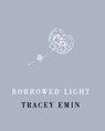Tracey Emin - Andrea Rose ; Toby Forwar ; Rudi Fuchs - 9780863555893