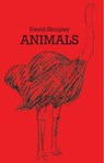 David Shrigley - Katrina Schwarz ; David Shrigley - 9780863557804