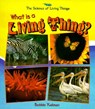 What Is a Living Thing? - Bobbie Kalman - 9780865058910