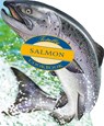 More Totally Cookbooks Salmon - Helene Siegel - 9780890878248