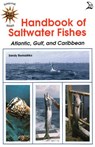 Handbook of Saltwater Fishes - ROMASHKO,  Sandra - 9780893170400