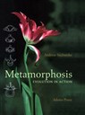 Metamorphosis - Andreas Suchantke - 9780932776396