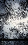 Fog & Car - LIM,  Eugene - 9780963753601