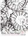 Rise, Ye Sea Slugs! - Robin D. Gill - 9780974261805
