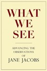 What We See - Stephen A. Goldsmith ; Lynne Elizabeth - 9780981559315