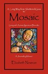 A Long Way from Shattered Glass to Mosaic - Elizabeth Newman - 9780981653303