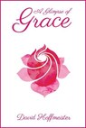A Glimpse of Grace - David Hoffmeister - 9780983436850