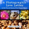 A Photographic Love Letter to the Flora and Fauna of the Mojave Desert - Kollibri Terre Sonnenblume - 9780986188169