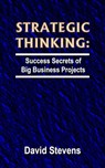 Strategic Thinking: success secrets of big business projects - David Stevens - 9780987603197