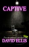Captive - David Ellis - 9780992303402