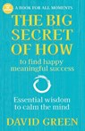 The Big Secret of How - David Green - 9780992648732
