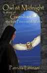 Owl at Midnight - Patricia Lennan ; Jenny Knowles - 9780993507830