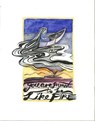 You Are Meant to Be Like Fire - Sheila Murray-Nellis - 9780995194137