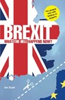 Brexit: What the Hell Happens Now? - Ian Dunt - 9780995497825