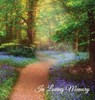 In Loving Memory Funeral Guest Book, Memorial Guest Book, Condolence Book, Remembrance Book for Funerals or Wake, Memorial Service Guest Book - Angelis Publications - 9780995694934
